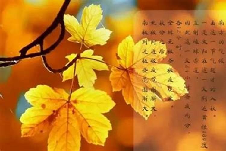 秋分时节吃什么最开运