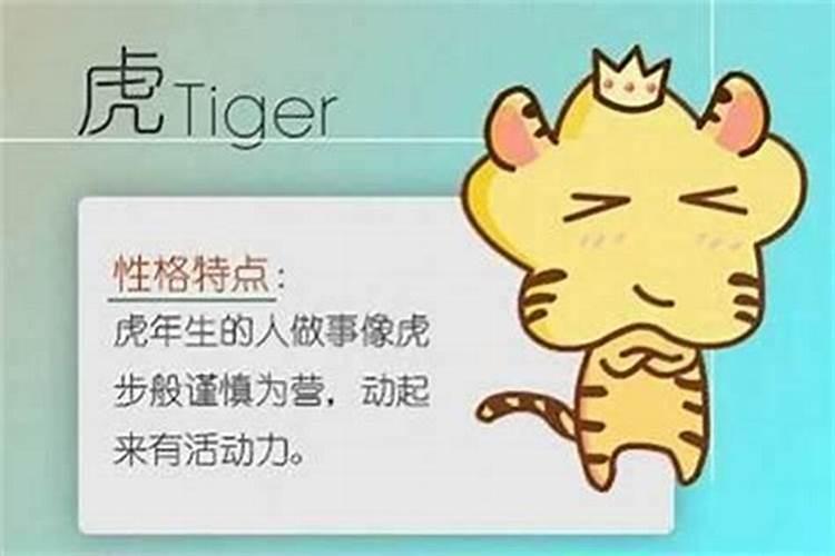二月二龙抬头出生的虎宝宝 贵人伴随左右？