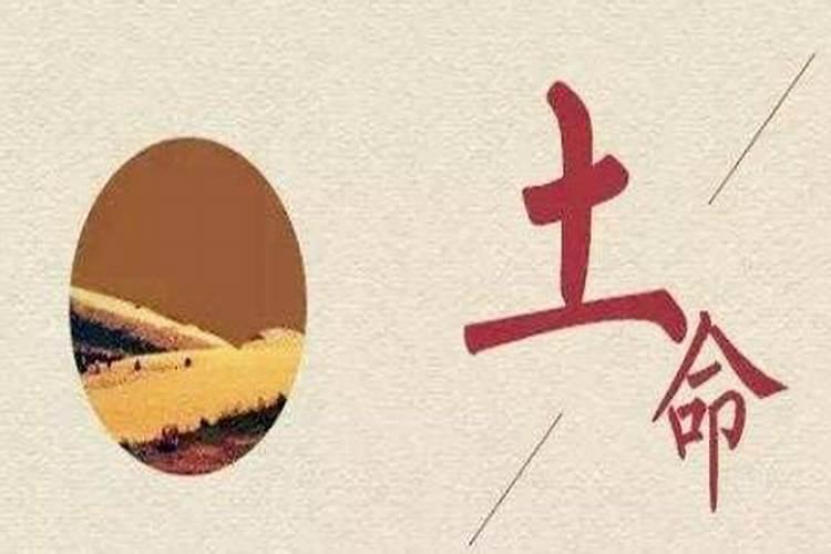怎么看四柱八字排盘解读性格和婚姻？