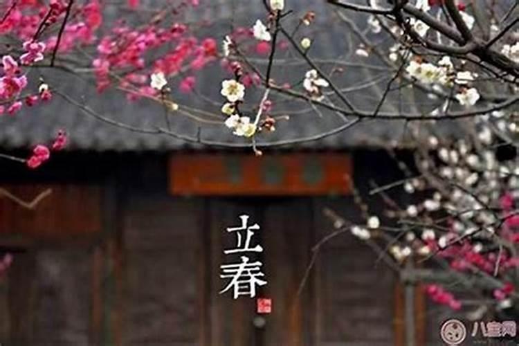 治小人绝招咒语