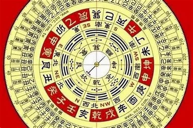 从强格是身弱还是身强