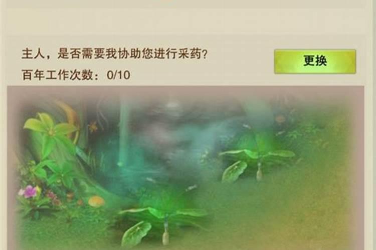 我的本命元神是什么？