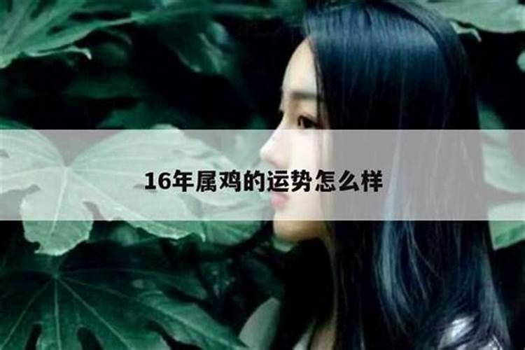 属鼠吉日出生最好命运属鼠什么时辰出生最好