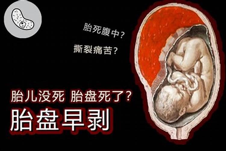 普宁居士林办丧事地址