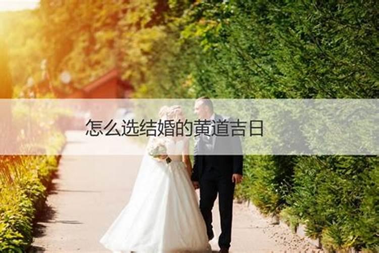 2004年属猴的2024年运势如何