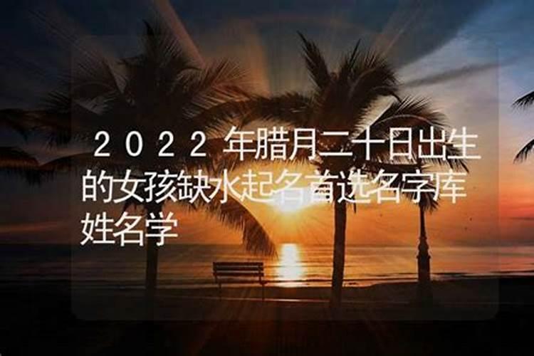 93属鸡2025每月运势