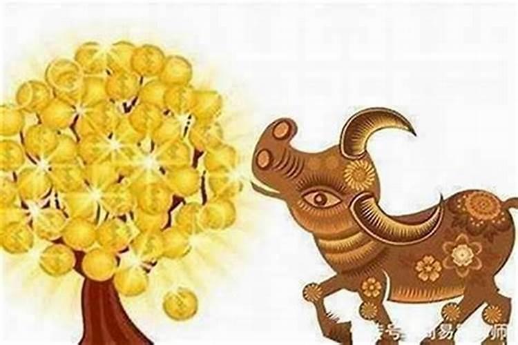 本命年前一年倒霉,运势如何化解