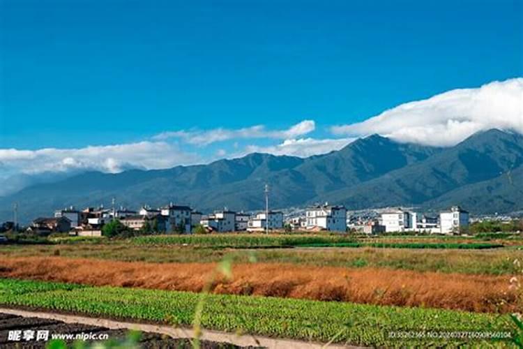 大理主要的民俗节日有哪些