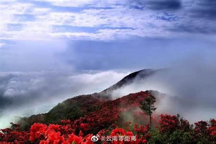 白族的节日有哪些