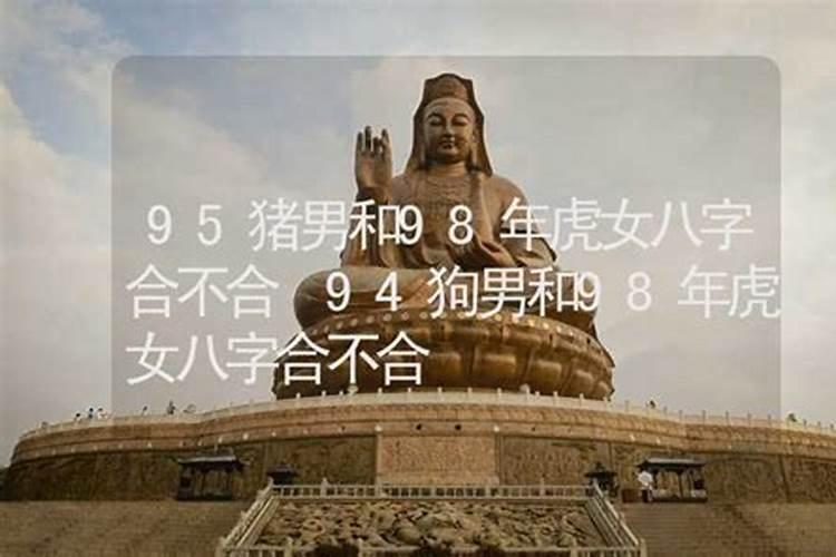 属猪男的和属虎女的相配吗 猪跟虎的属相合不合婚姻怎么样