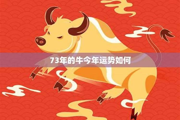 1995年公历2月1日农历正月初二属猪男孩,上午十点巳时出生,命运怎样啊...