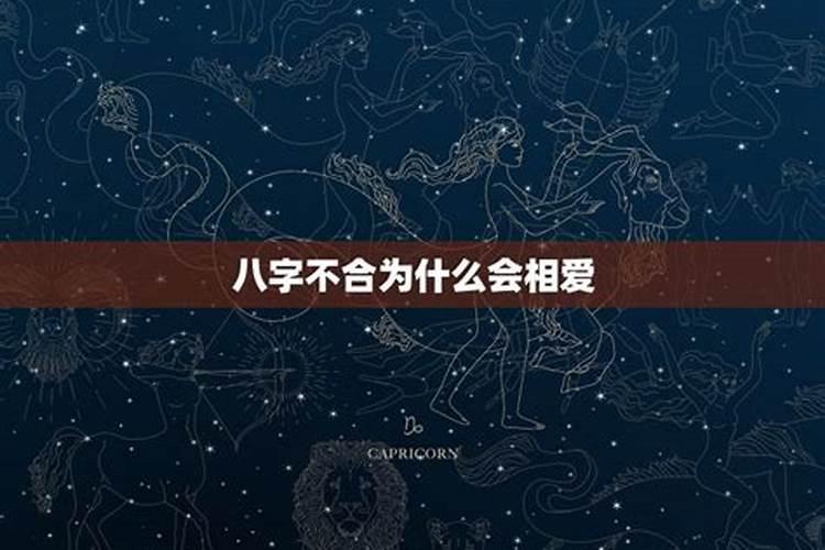 蛇年梦到蛇,求助大神
