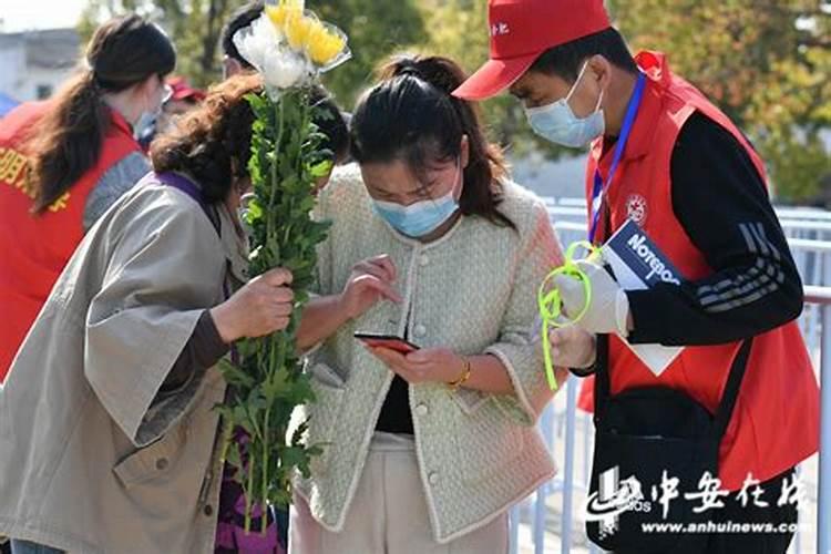 合肥周边清明节踏青去哪里好玩