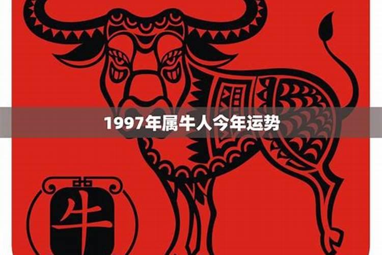 1997年出生属牛人2024全年运势