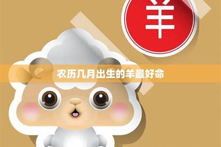 79年农历三月十五日出生的属羊人一生运势？