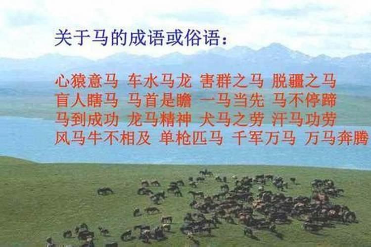 梦见一群马在奔跑是什么预兆？
