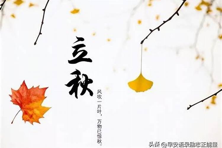 关于八字用神的问题