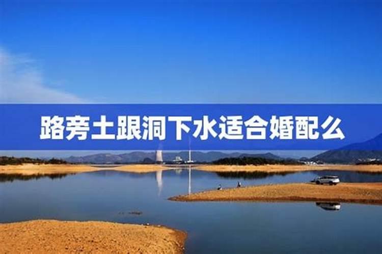 属龙的木命1988年3月2日 跟 属马的土命1990年8月23日 结婚合适吗、？