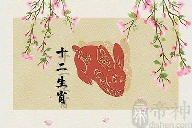 生辰合婚:属兔的女人和属猴男配不配 有夫妻缘份吗