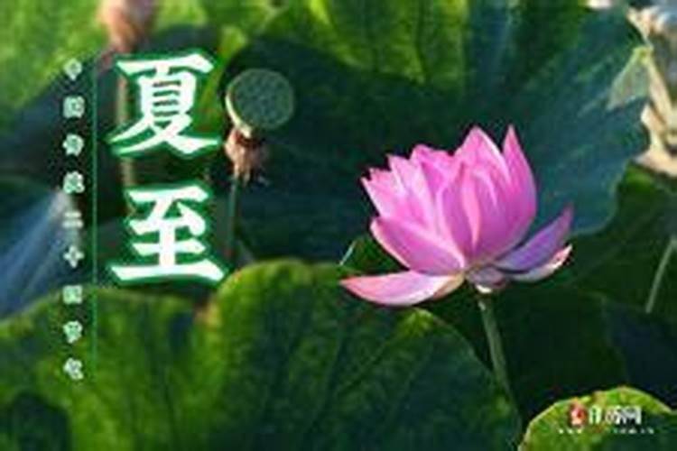 今年夏至是几月几日2024 夏至三候