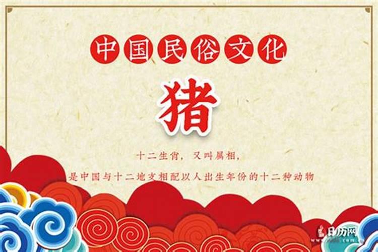 属猪的腊月初七生命运怎么样