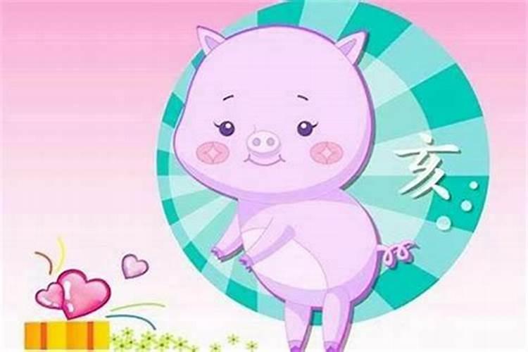 属狗和属猪不能在一起吗 狗和猪婚姻合不合