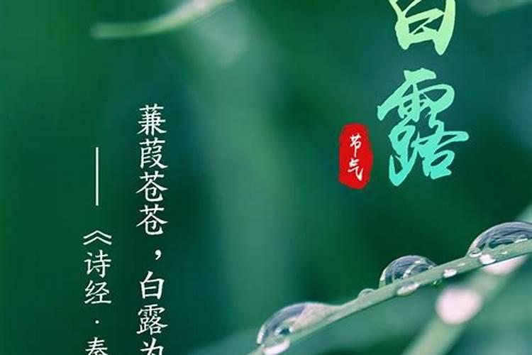 梦见亲戚在我家喝酒诉苦的预兆