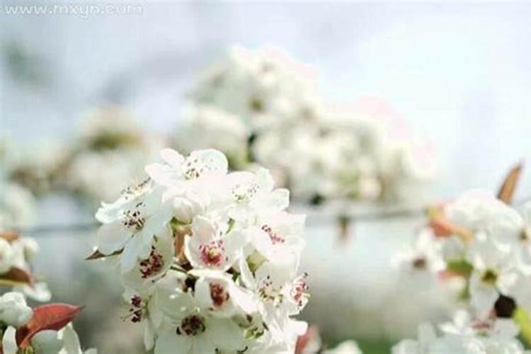 梦见朋友死了办丧事是什么意思