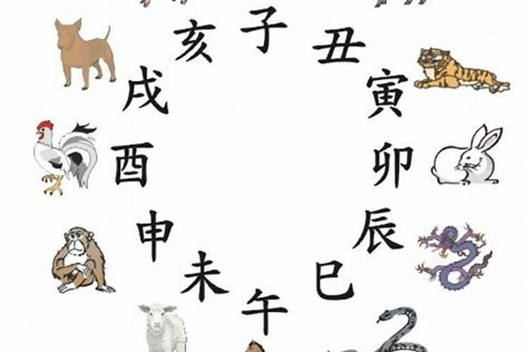 2020鼠年1月生肖属虎和生肖属羊适合结婚吗,会相合吗？