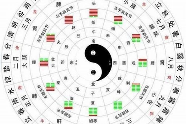 2024年马人的全年运势如何