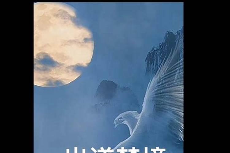 东北立冬吃什么 东北立冬应该吃什么啊