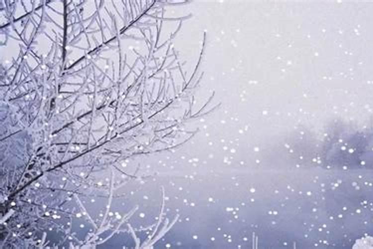 大雪和冬至是几月几日
