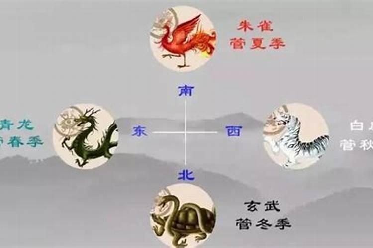 什么是风水中的左青龙右白虎？