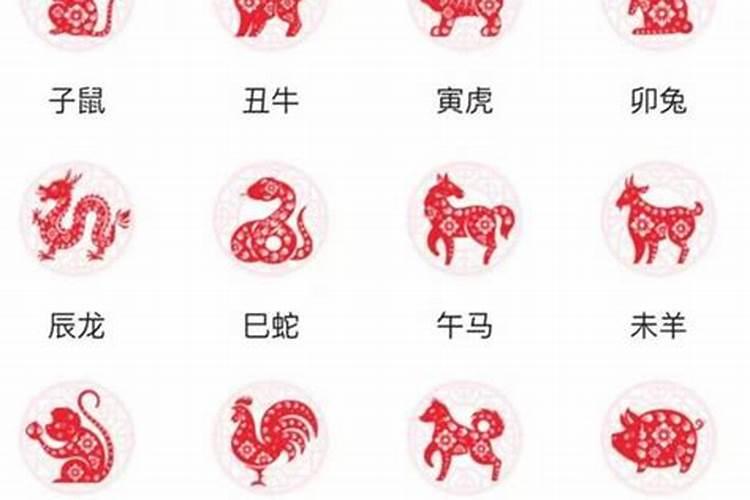 1994年属狗男和1997年属牛女能配吗 相配婚姻踏实稳定但八字不合