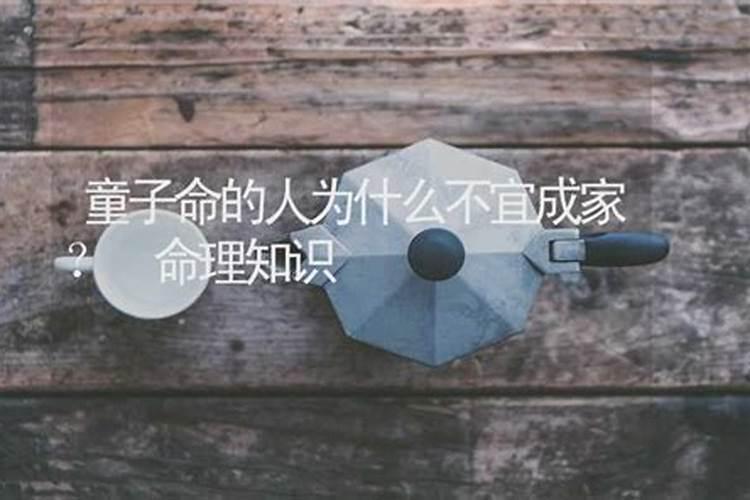 家里有壁虎是好事还是坏事家里有壁虎可以不管吗
