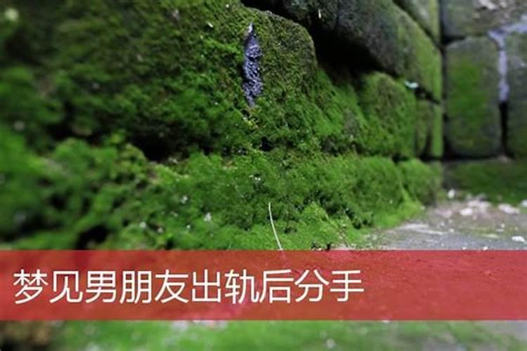 梦见男朋友出轨跟我分手的预兆