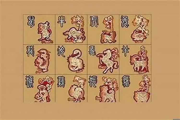 2025年是什么属相年