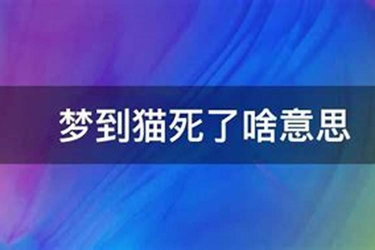 梦见猫死了又活了是什么意思周公解梦