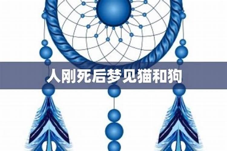 梦见猫死了又活了是什么意思