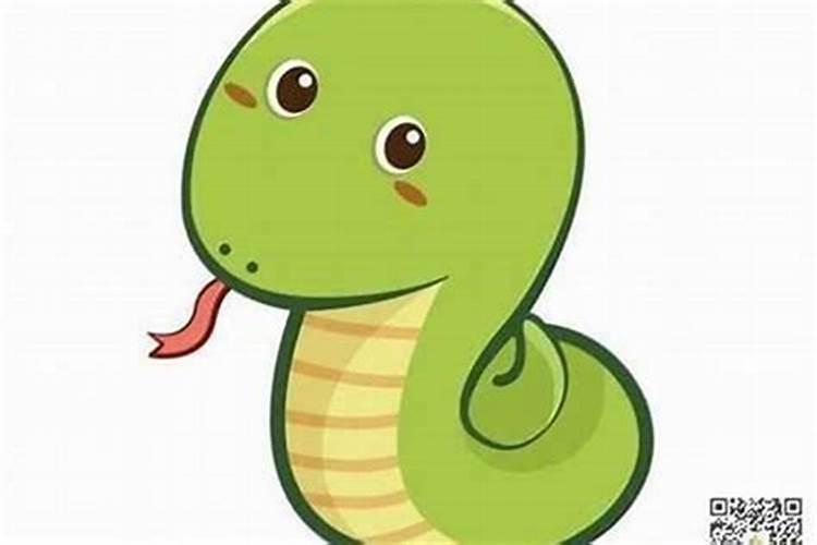 本命年蛇年要注意什么佩戴什么