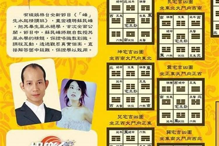 苏民峰个人简介