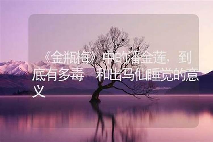 查有没有仙家需要生辰八字吗,老黄历免费生辰八字算命最准