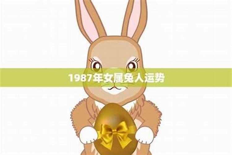 87兔女2025下半年运势