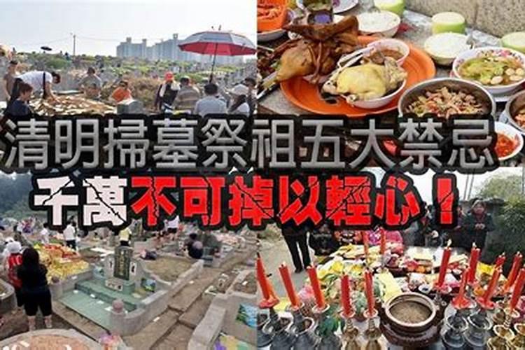 猴和蛇属相合不合