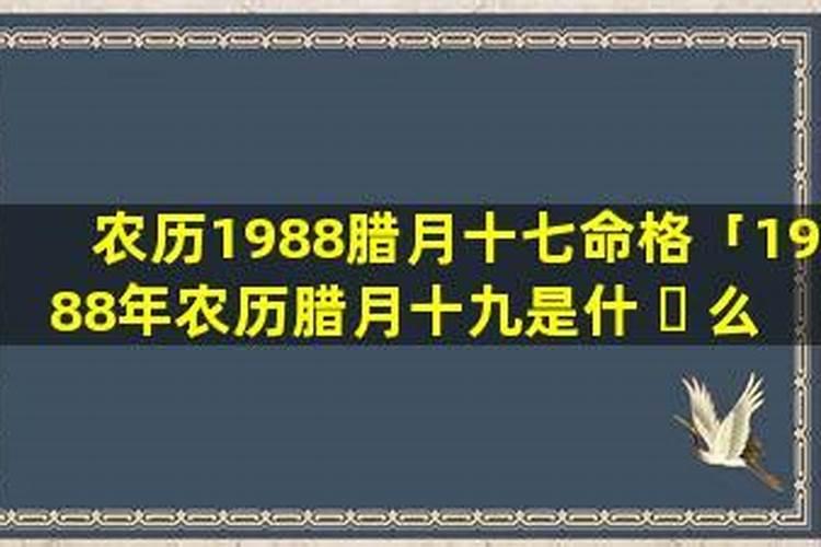 88年2025年属龙人的全年运势