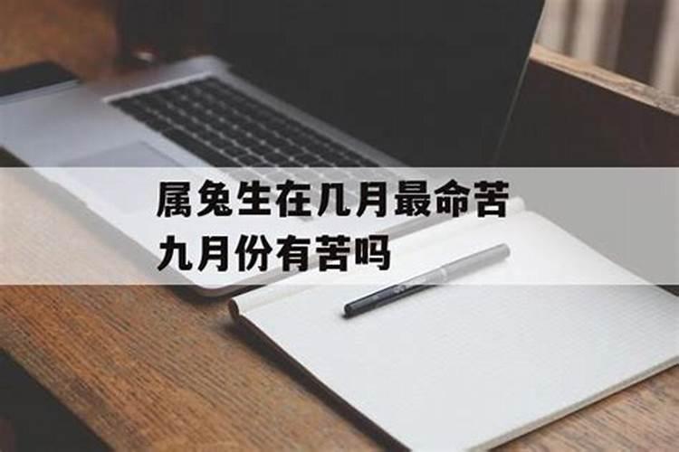 属兔命大富大贵的月份 不同出生月份的属兔人运势