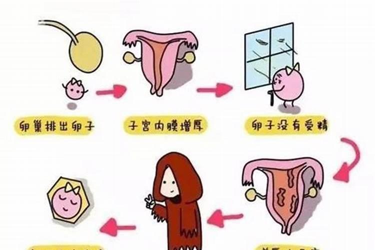 梦见大姨妈来了是什么预兆
