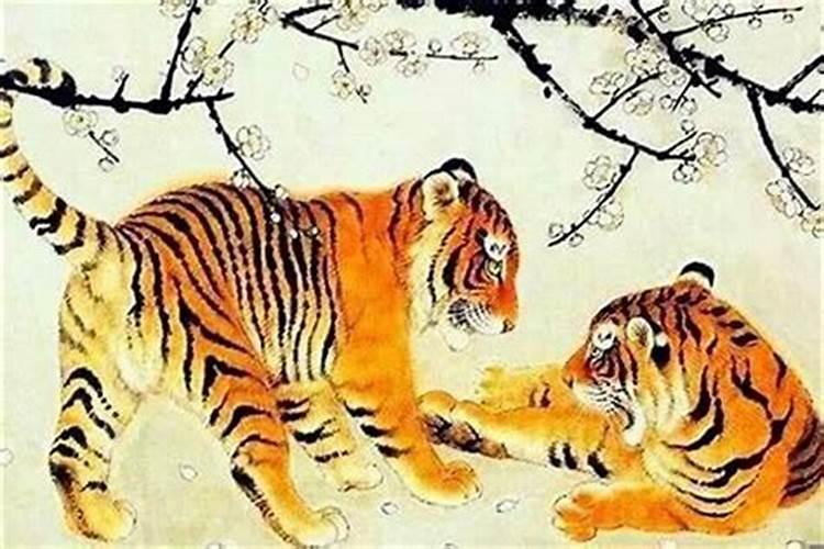 属牛和属虎的婚姻怎么样属牛和属虎的合得来吗
