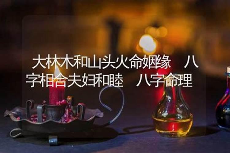 大林木命与山头火命的爱情婚姻相合吗？