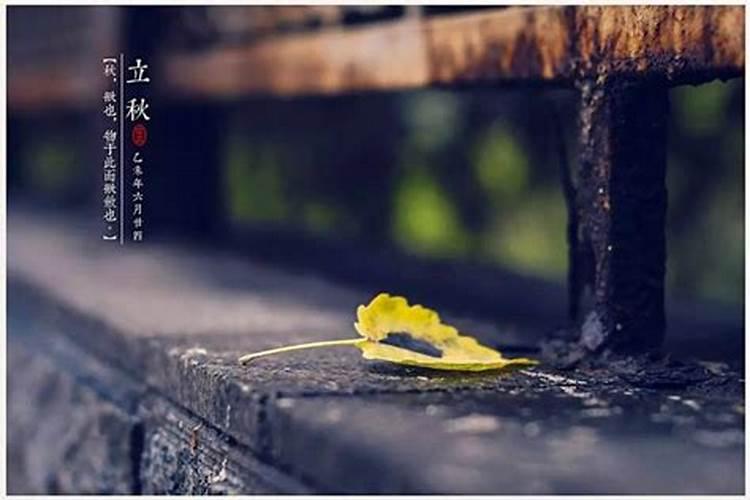 出生在立秋这天的人命好吗 命中带富贵之气？